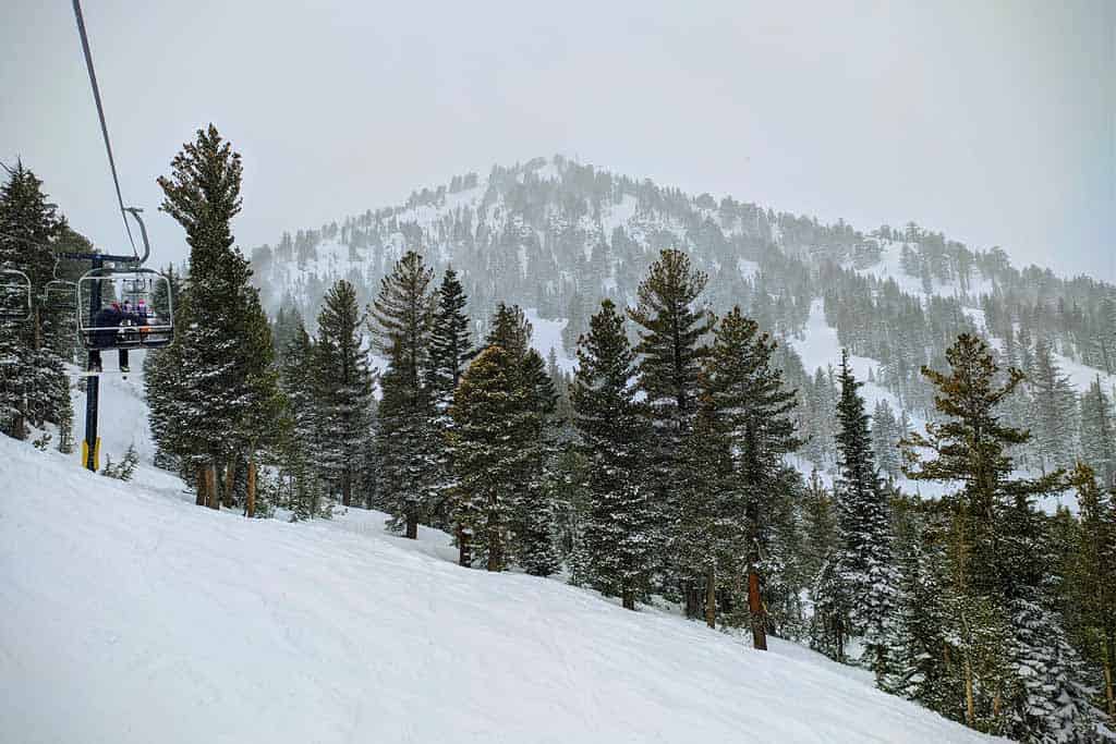 Mammoth Lakes