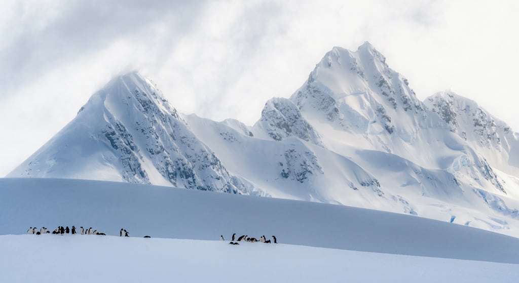 Antarctica Is The Driest Continent