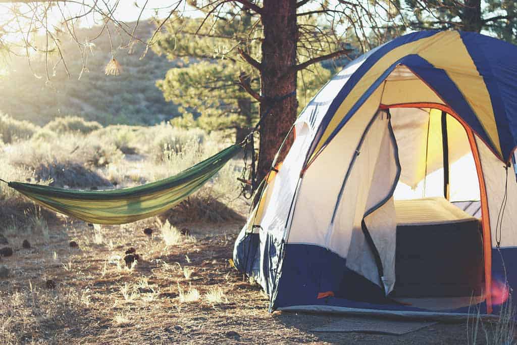 Hammock And Tent