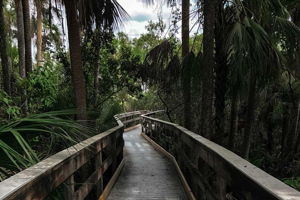 Manatee Park Florida