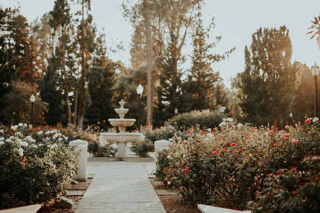 Rose Garden Sacramento California