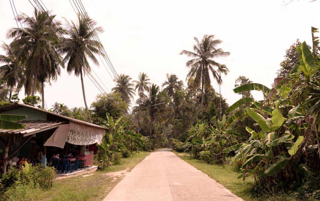 Motorbike Palm Road