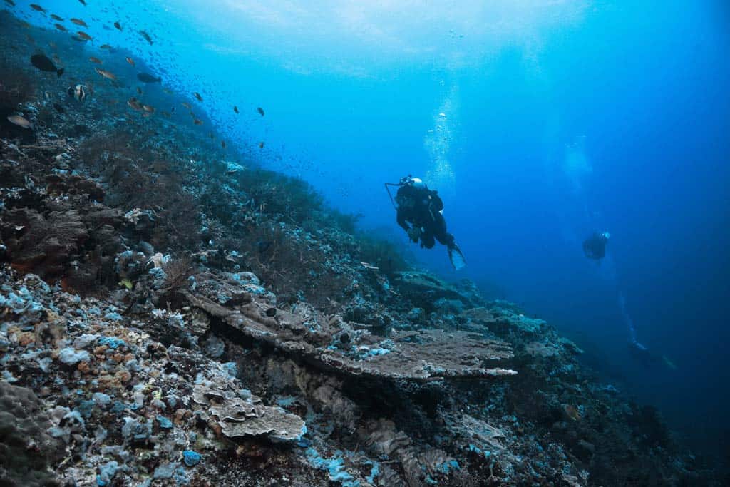 Scuba Diving Open Water Course