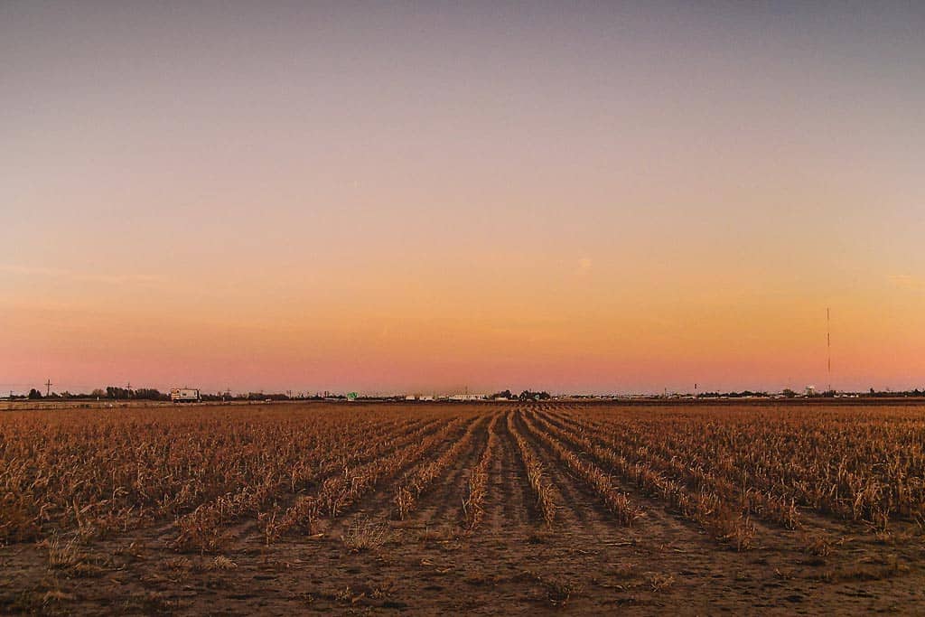 Amarillo Texas