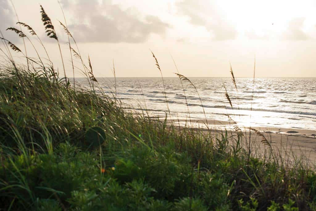 Mustang Island Texas