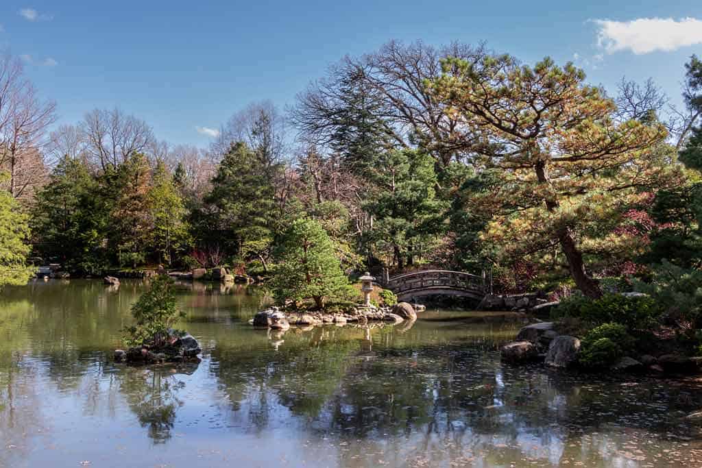 Anderson Japanese Gardens