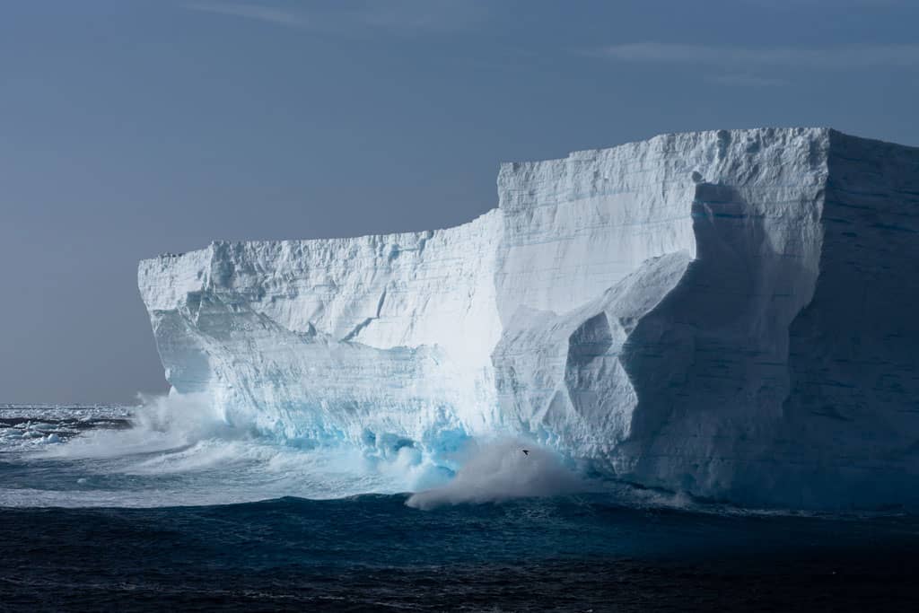Icebergs On Drake Passage