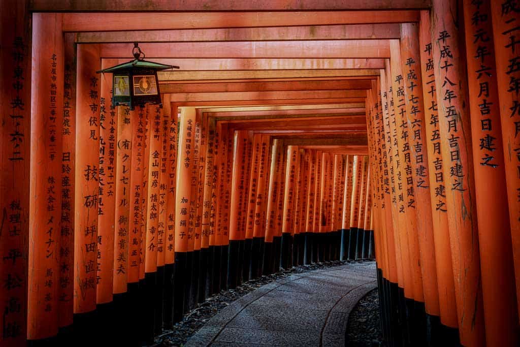 Things To Do In Kyoto Japan Fushimi Inari Tori Gates