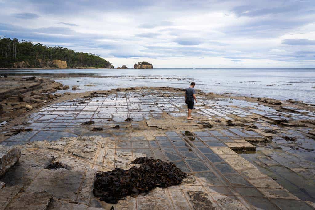 Tessellated Pavement Tasman Peninsula