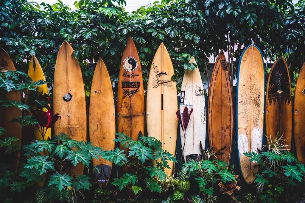 Kauai Hawaii Surf