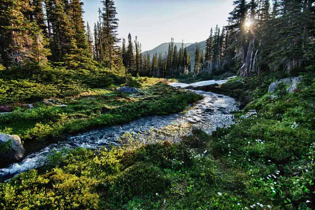 Olympic National Park