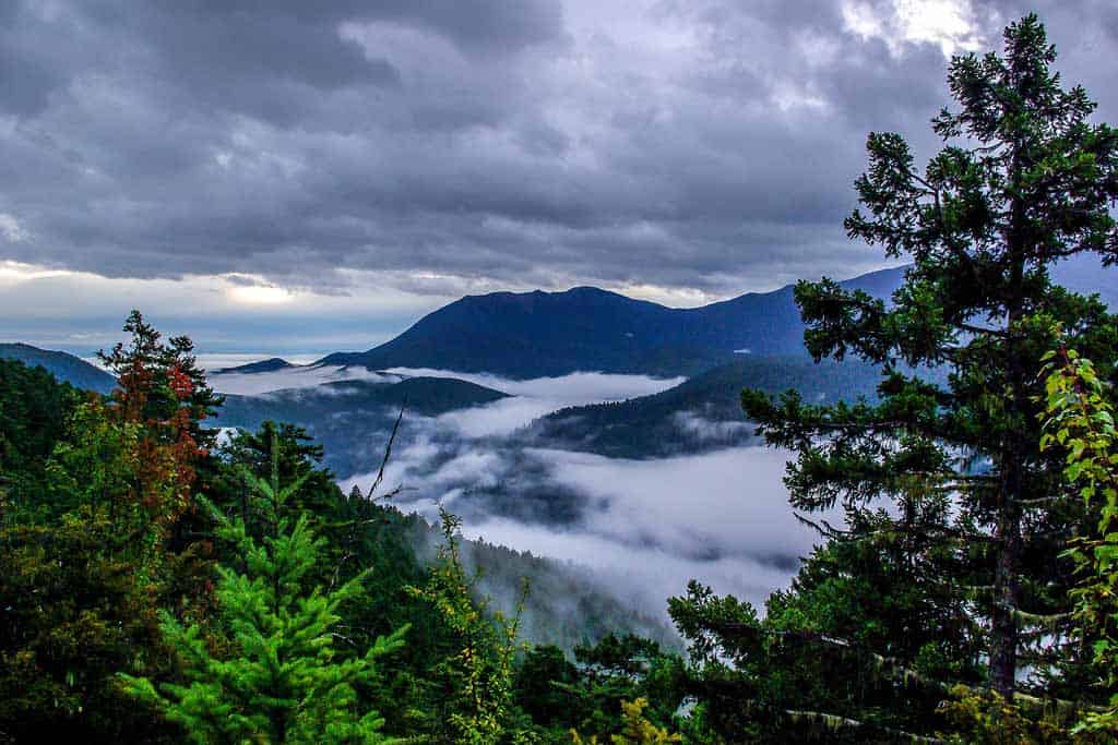 Olympic National Park