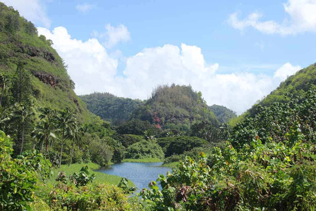 Waimea Valley