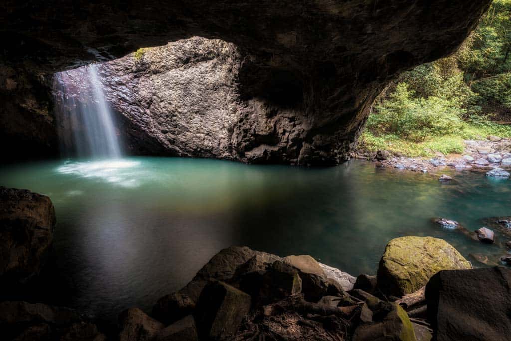 Springbrook National Park 