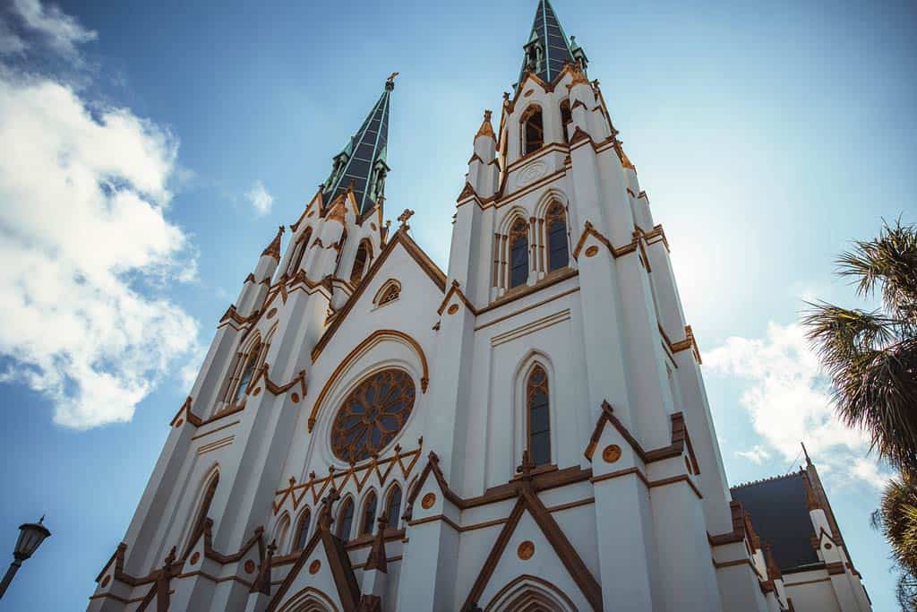 Cathedral Savannah