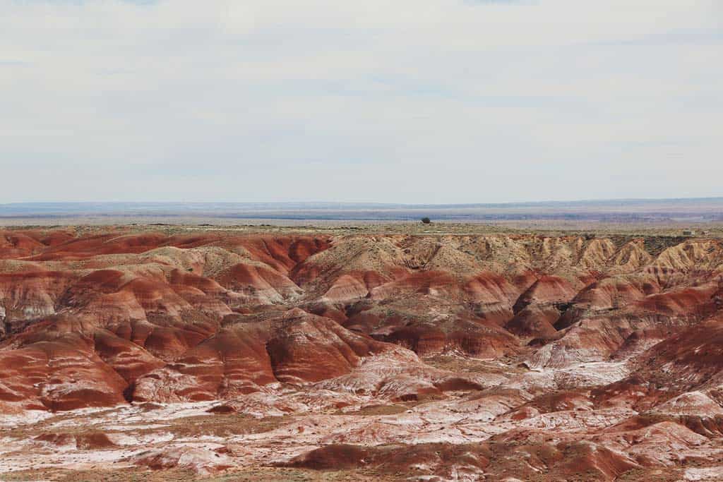 Petrified Forest National Park