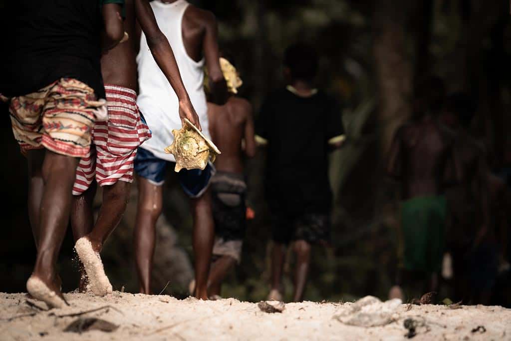 Conch Shells Being Collected