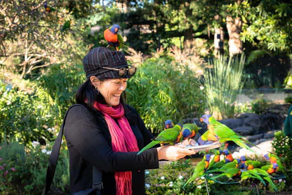 Currumbin Wildlife Sanctuary