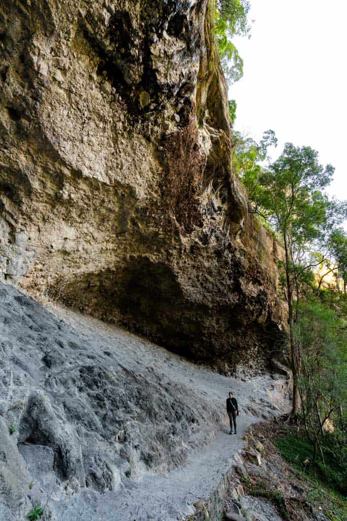 Lamington National Park Cave Hike