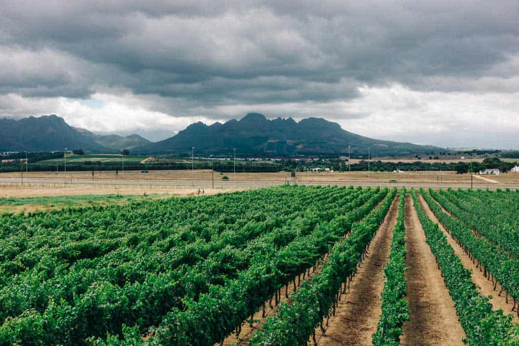 Winery In Stellenbosch Area