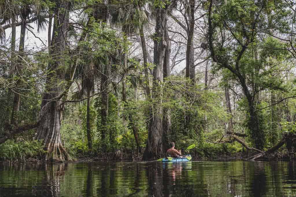 Kayaking Florida