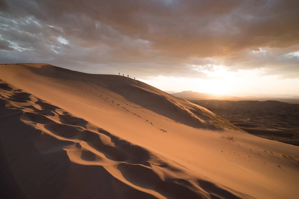 Mojave Desert