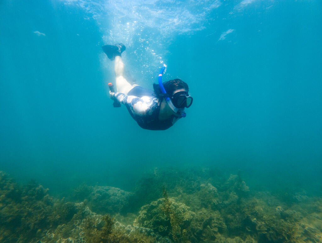 Gopro Hero 12 Black Underwater Photo Snorkelling