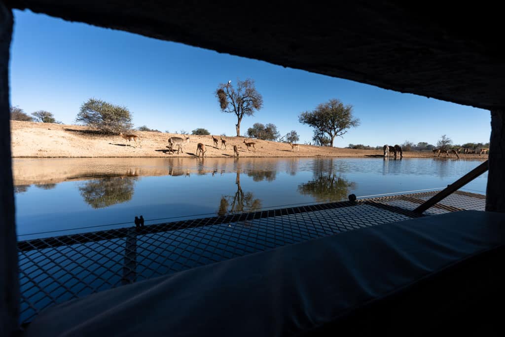 Terrapin Hide Underground Bunker