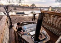 Jacis Lodges Review – A Luxury Safari in Madikwe, South Africa