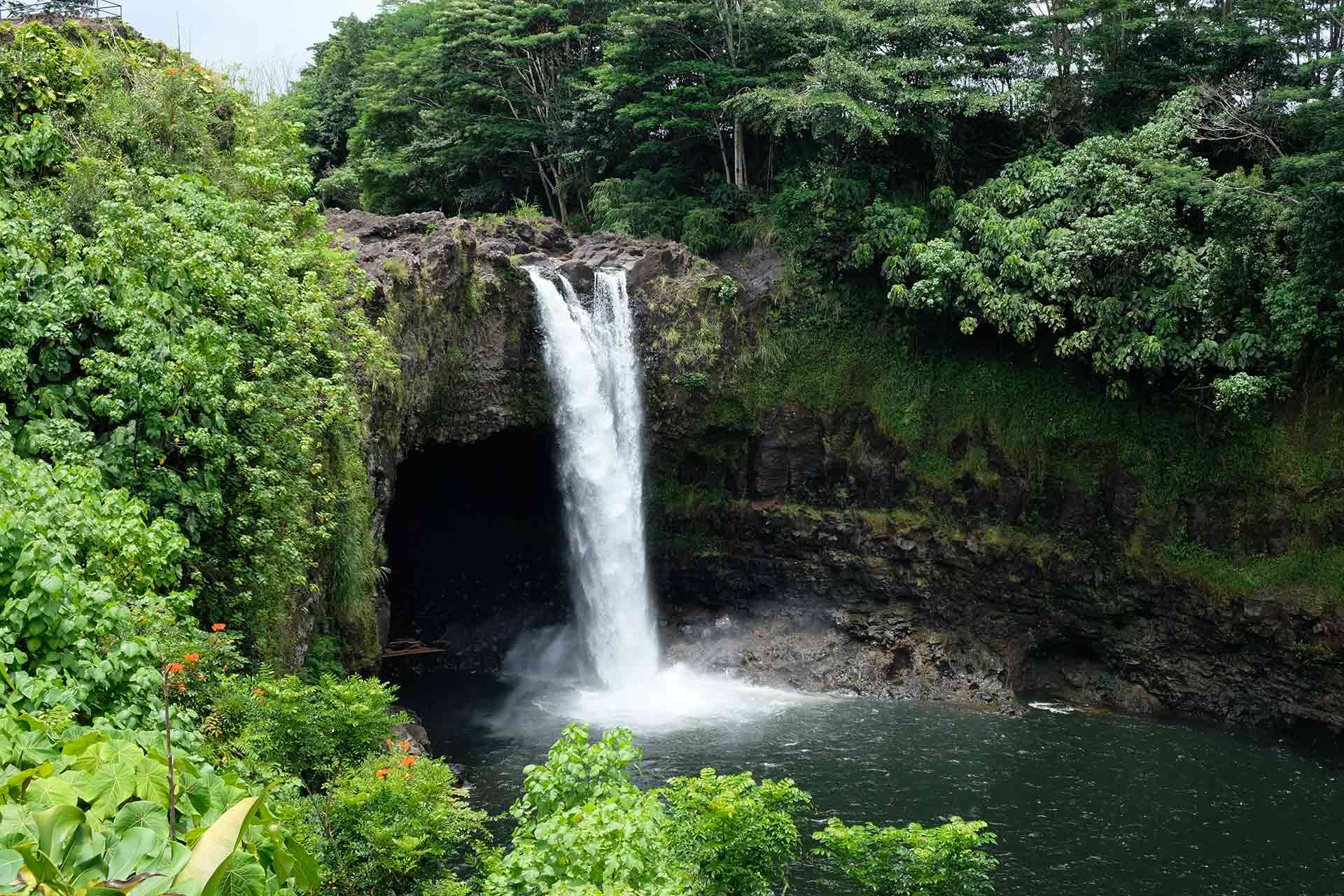 Things To Do In Hilo Hawaii Feature