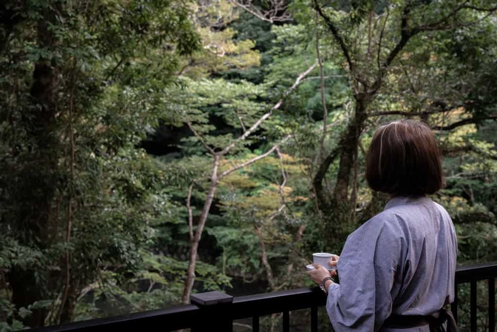 Valley Views Ryokan Ochiairo 