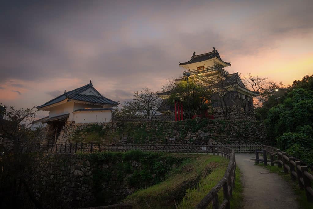 Hamamatsu Castle At Night