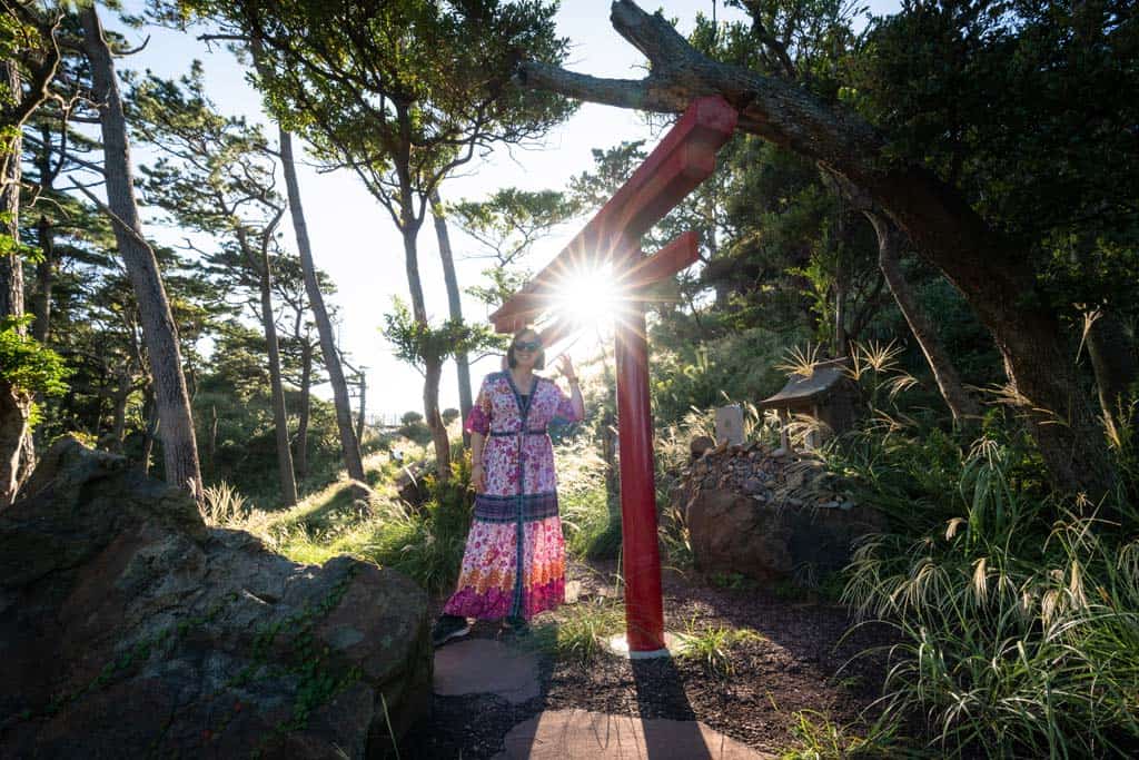 Alesha Tori Gate Izu Peninsula Shizuoka Prefecture Guide