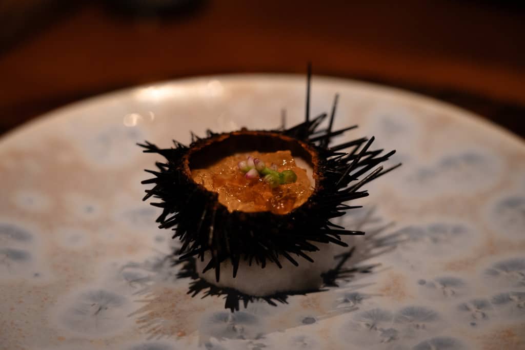 Sea Urchin Dinner Japan