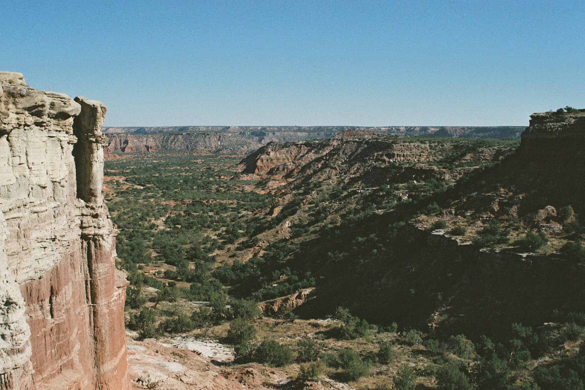 This State Is One of the Best in the U.S. for a Spring Road Trip — With  800,000 Miles of Wildflower-lined Highways