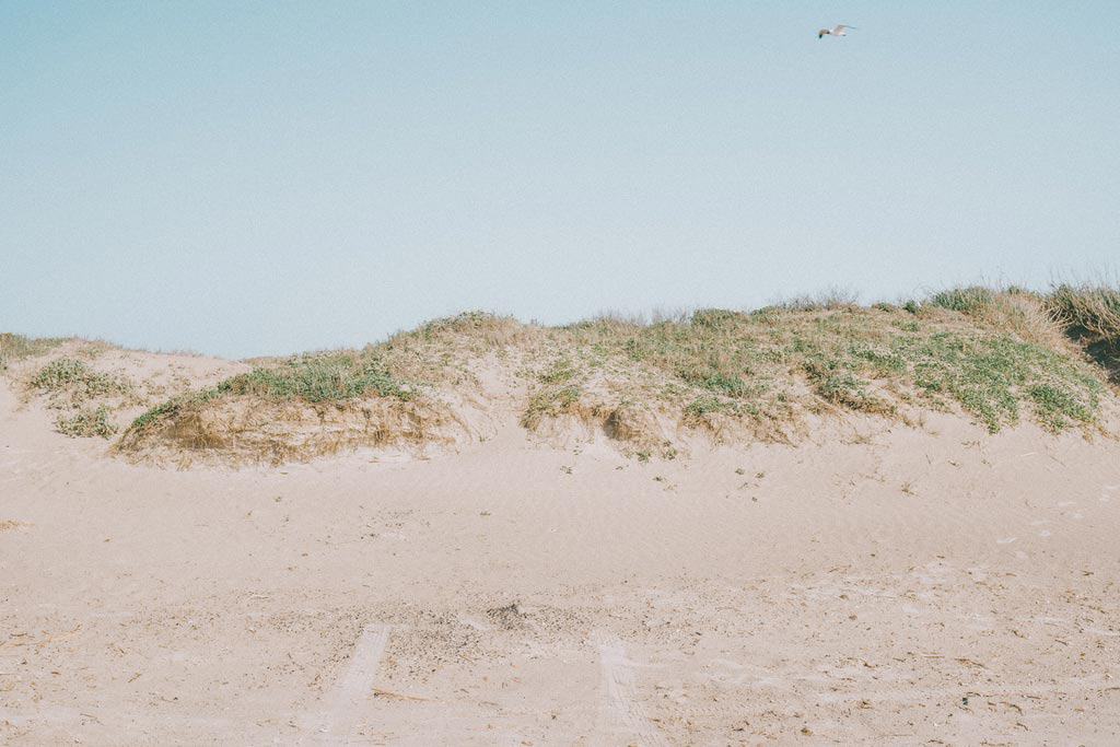 Galveston Island State Park