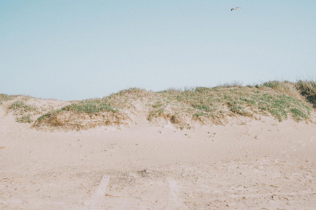 Galveston Island State Park