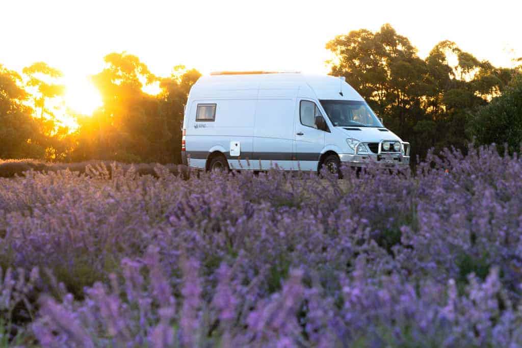 Van Parked In Front Of Lavender Field