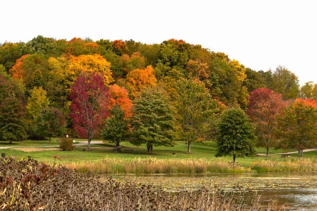 Moraine State Park