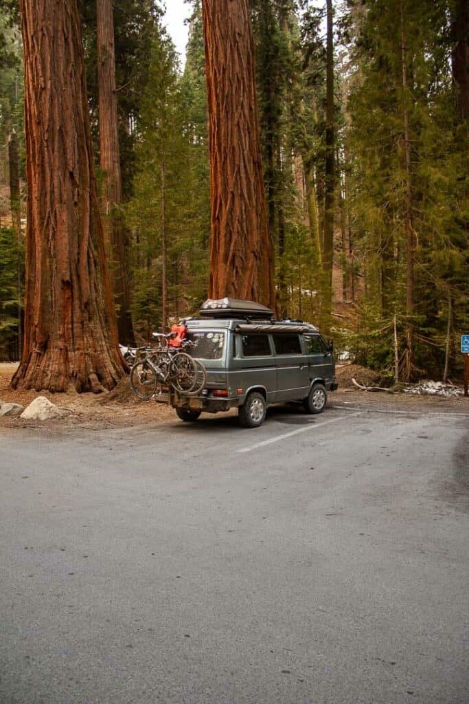 Westphalia stealth camped in a parking lot surrounded by red woods