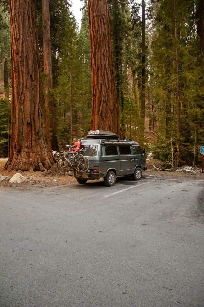 Westphalia Stealth Camped In A Parking Lot Surrounded By Red Woods