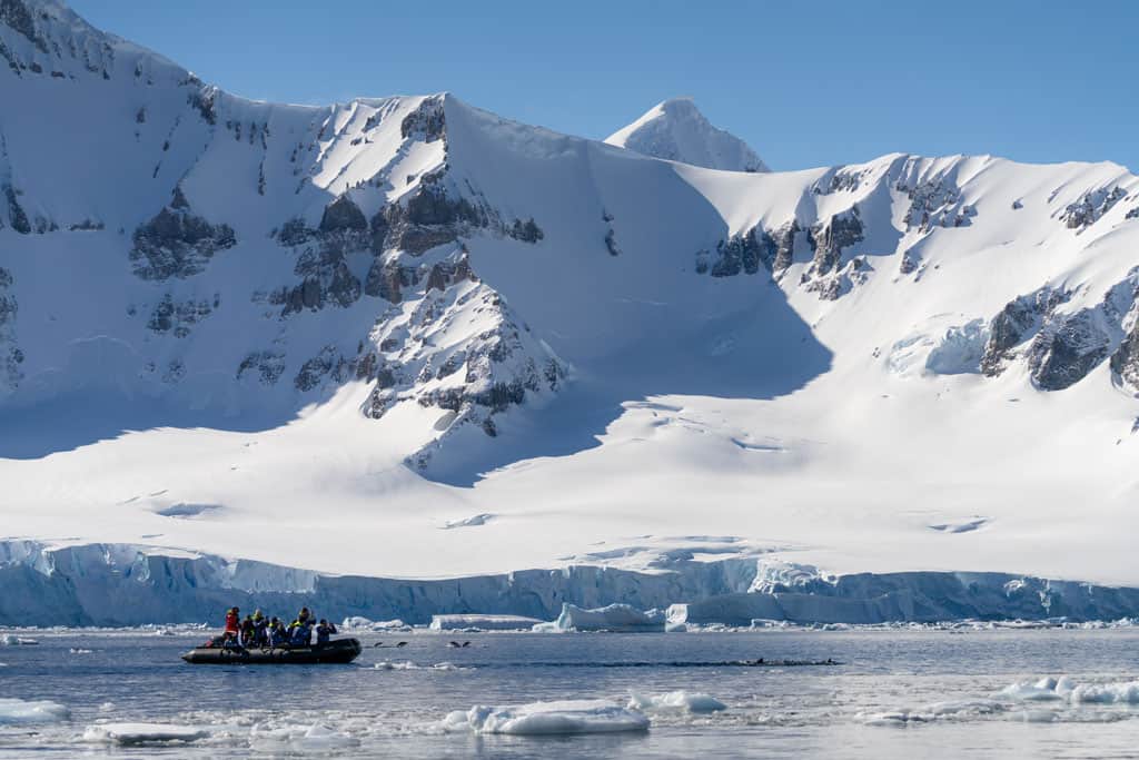 Zodiac Cruise In Antarctica