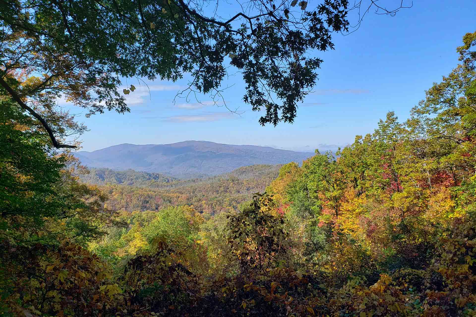 Events In Gatlinburg Tn May 2024 Thanksgiving 2024 Fails Hedda Krissie