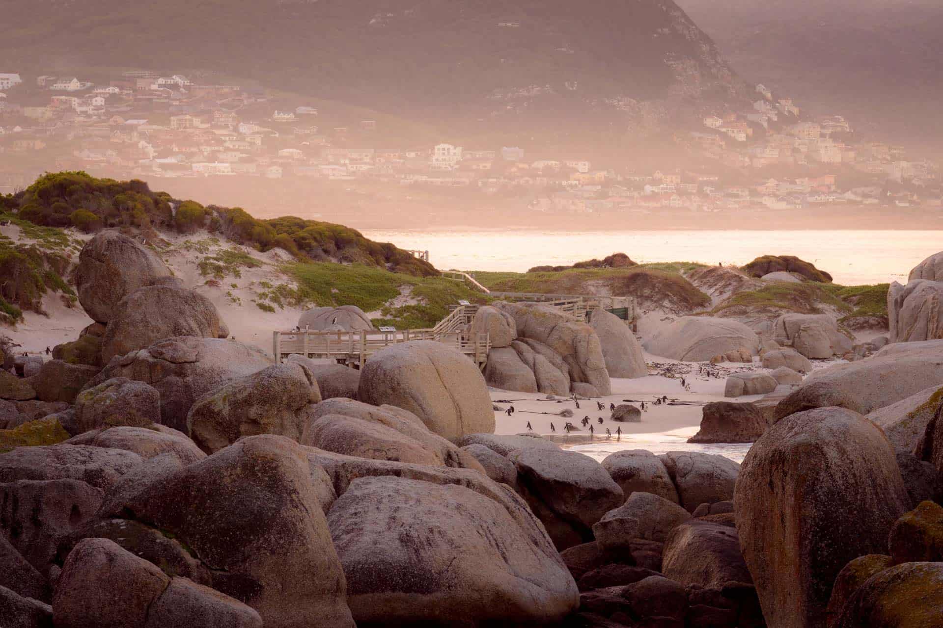 14 Epic Ideas for Day Trips from Cape Town [2024 Guide]