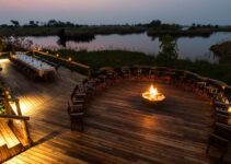 Ker and Downey Shinde Camp Review – Okavango Delta Safari