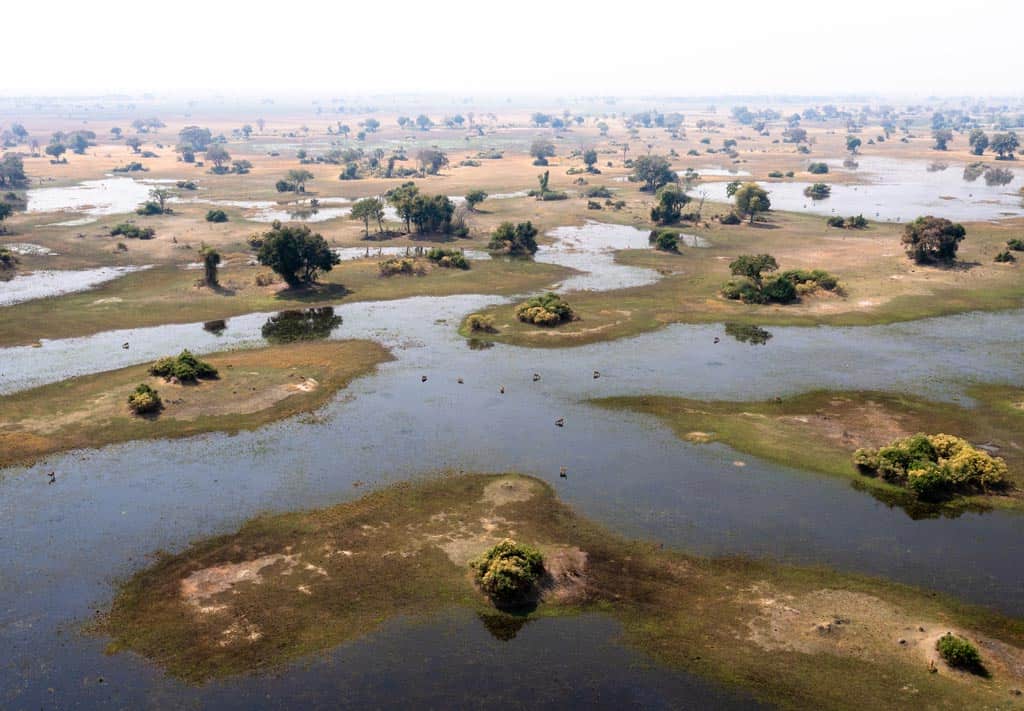 Shinde Concession Okavango Delta