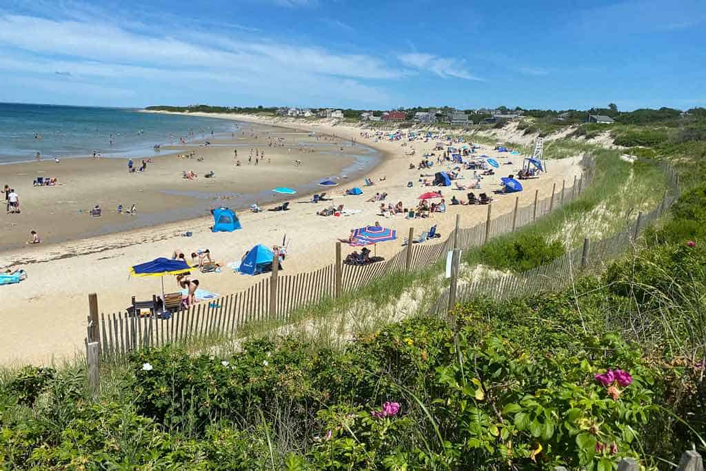 Cape Cod Beach In Summer