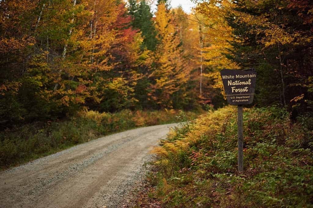White Mountains New Hampshire