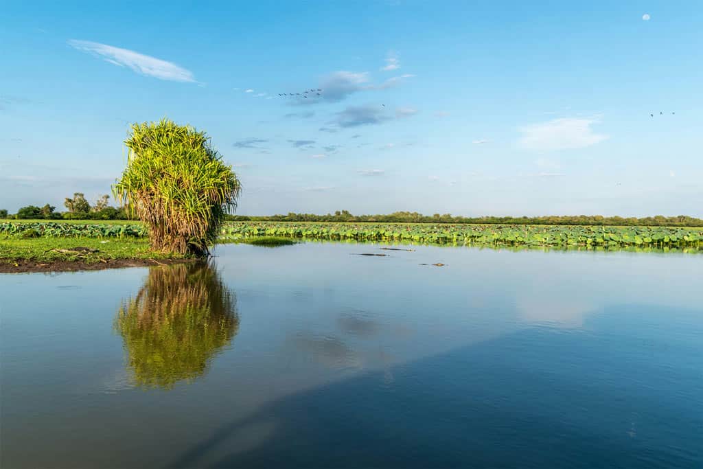 Water Cruise Kakadu National Park