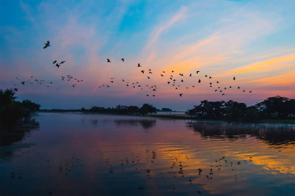 Sunset Views Kakadu National Park